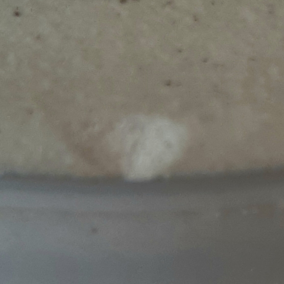 SOUVENIER JUNEAU ALASKA MUG - Picture 9 of 9